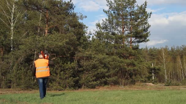 Muže s pilou a signální vesta přichází do lesa — Stock video