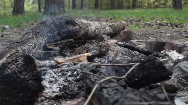 Fuoco di legna bruciato da cui esce il fumo — Video Stock