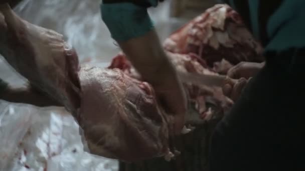 Un hombre está cortando carne, de cerca — Vídeos de Stock
