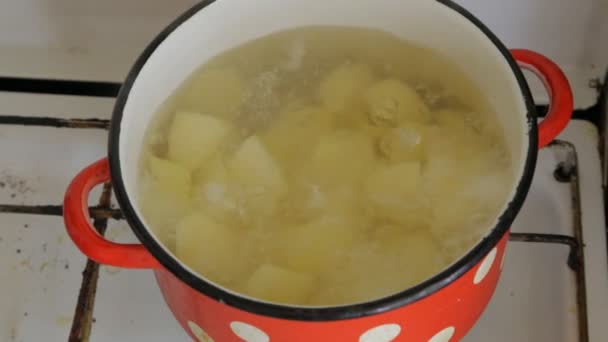 In an old red pot, potatoes are brewed — Stock Video