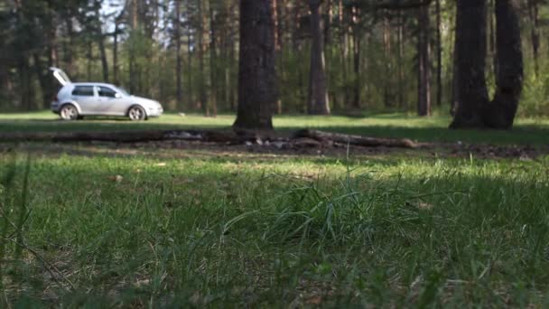 Un hombre tira basura en el bosque, de cerca, basura — Vídeo de stock