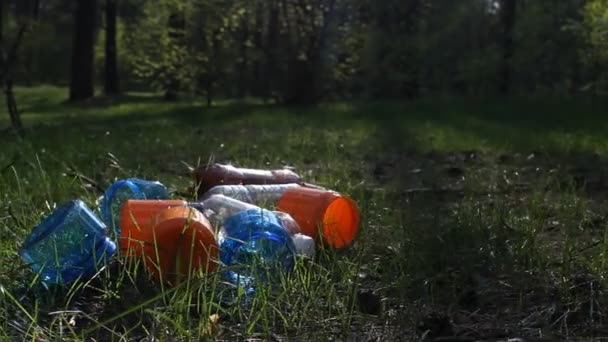 Una pila de basura yace en el bosque, la contaminación de los bosques, el medio ambiente — Vídeos de Stock