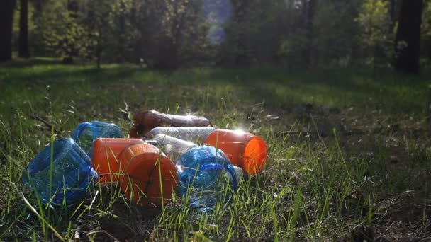 Montaña de botellas de plástico, basura, residuos se encuentra en un bosque en la naturaleza, basura en el bosque, plástico — Vídeos de Stock