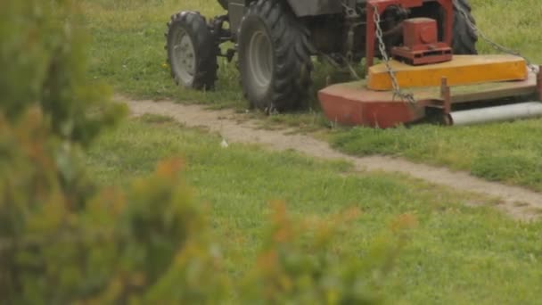 Tractor corta la hierba en la lluvia, de cerca — Vídeos de Stock