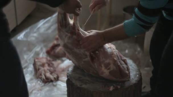 The man is dividing the beef meat, close-up — Stock Video