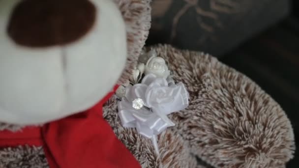 Plyš medvěd hnědý mládě sedí na gauči, detail — Stock video