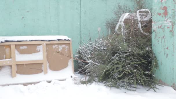 Der ausrangierte Weihnachtsbaum nach dem neuen Jahr auf dem Müll, Winter, Schneesturm — Stockvideo
