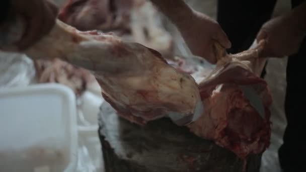 Un uomo sta tagliando un grosso pezzo di carne animale — Video Stock