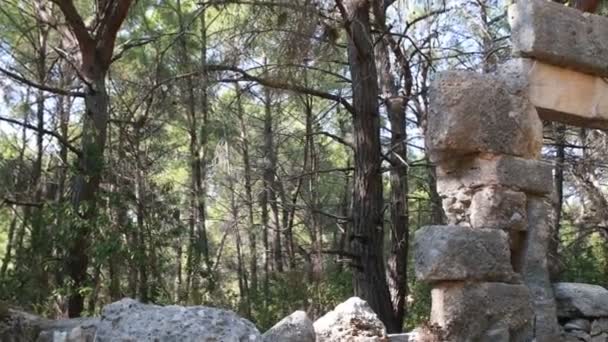 Las ruinas de la antigua ciudad griega y romana — Vídeo de stock