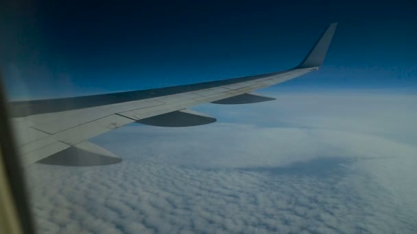 Flygplan flyger över molnen — Stockvideo