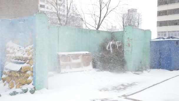 Der ausrangierte Weihnachtsbaum nach dem neuen Jahr auf dem Müll, Winter, Schneesturm — Stockvideo