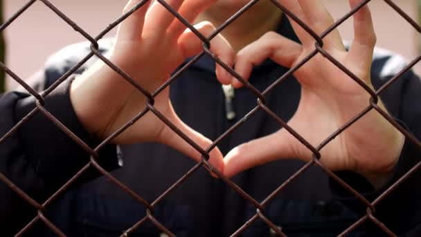 Een man door het raster lattice toont een gebaar van het hart, close-up, verbod van zelfde-geslachtshuwelijken, Lgbt — Stockvideo