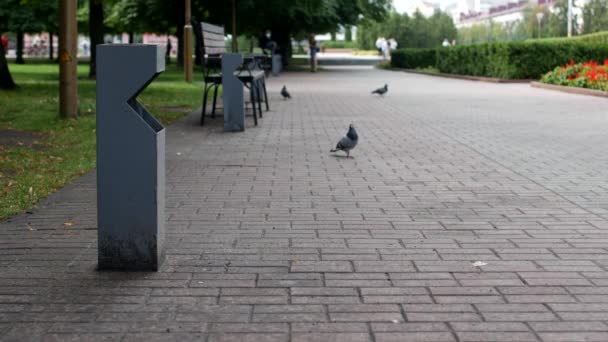 En man går ner på gatan och kastar en plastflaska av sopor — Stockvideo