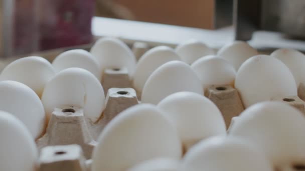 Dispositivo automatizado marca huevos de gallina en una pequeña fábrica de pollo — Vídeos de Stock