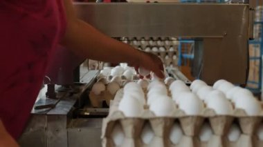 Yumurta çiftlik işçileri tavuk yumurta karton tepsiler eline tarafından paketi