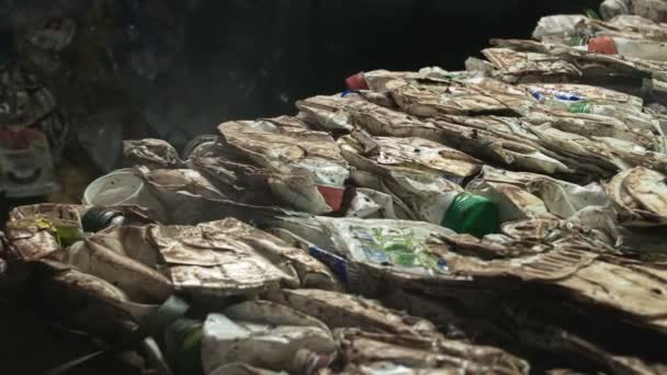 Fliegen fliegen über Müll, Umweltverschmutzung — Stockvideo