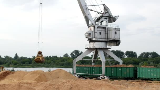 Grúa portuaria carga vagones ferroviarios de carga con virutas de madera, exportaciones, exportaciones, virutas — Vídeo de stock