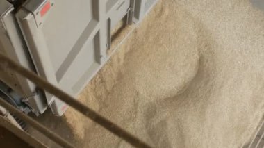 Mısır ya da Asansör, tarım içine arpa taneleri araba kamyon gemi