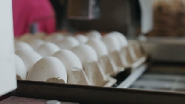 Автоматизированное устройство помечает куриные яйца в маленьком фермерском домике — стоковое видео