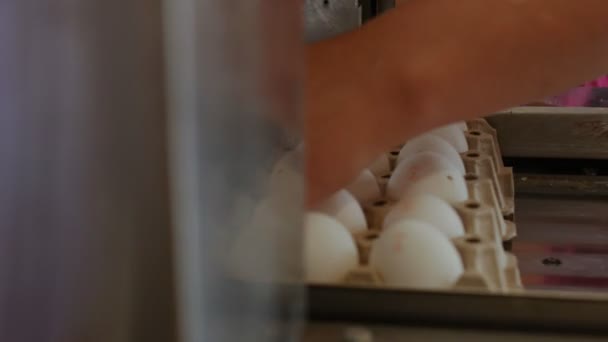 Αυτοματοποιημένη συσκευή σηματοδοτεί κοτόπουλο αυγά σε ένα μικρό αγρόκτημα — Αρχείο Βίντεο