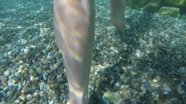 Vrouwelijke voeten loopt op onderwater stenen van de hot springs — Stockvideo