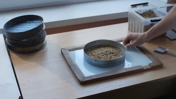 Sieving by hand of grains of wheat, oat, barley, rye by sifter for quality control or analysis — Stock Video