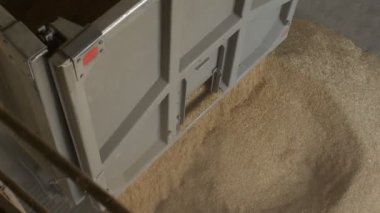 Mısır ya da çavdar Asansör, tarım içine taneleri araba kamyon gemi
