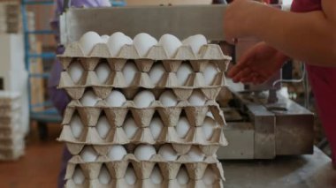 Tavuk yumurta tavuk fabrikasında ellerimden sıralama. Kadınlar sıralar yumurta