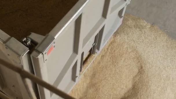 Impianto Prodotti Del Pane Impresa Macinazione Industria Dei Mangimi Cereali — Video Stock
