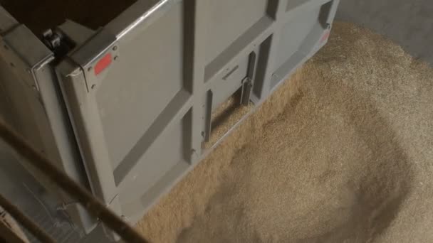 O caminhão de carro envia calos ou grãos de centeio para o elevador, agricultura — Vídeo de Stock