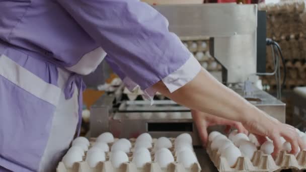 Travailleurs de volaille d'élevage triant les œufs de poule au convoyeur d'usine — Video