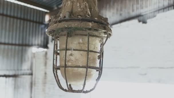 Rusty and dirty lantern covered in spider web — Stock Video