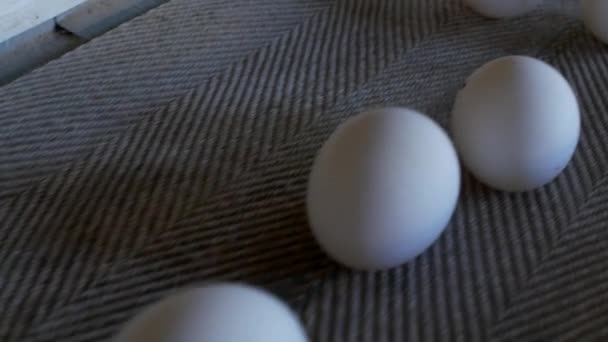 The production of chicken eggs, poultry, chicken eggs go through the conveyor for further sorting, close-up, production — Stock Video