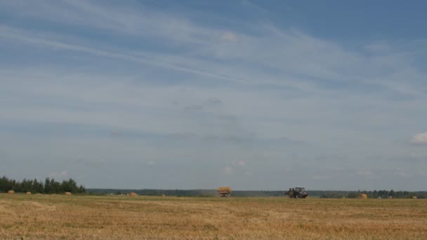 Landbouw en oogsten op het veld in de buurt van de ranch — Stockvideo