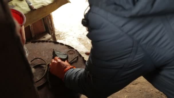 Un homme aiguise un couteau et coupe un bélier, carcasse d'un bélier — Video