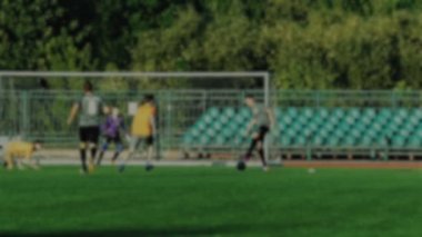 Futbol oyuncusu topu ve puanları bir hedef net, kaleci özlüyor hedefi, Futbol Şampiyonası, için arka plan bulanık arkasında hits