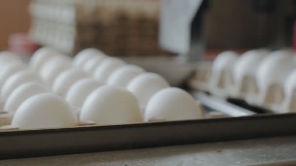 Dispositivo automatizado marca huevos de gallina en una pequeña fábrica de pollo — Vídeos de Stock