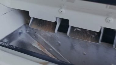 Modern Mısır Fabrikası hububat buğday unu ve yonca biler