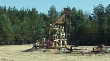 Bir petrol kuyusu yakınındaki ormanda Rusya üzerinde en büyük etmek