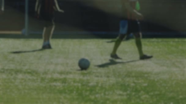 Una pelota muerta yace en un terreno de juego antes de comenzar un partido de fútbol o patear, borrosa como fondo — Vídeos de Stock