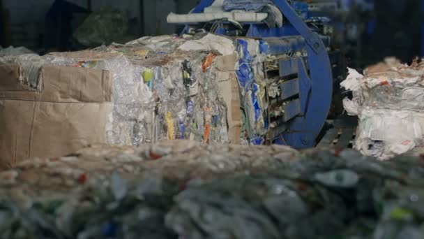 Máquina para prensar cartão, garrafas de plástico e resíduos domésticos ou lixo — Vídeo de Stock