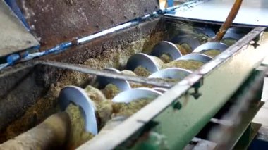 Kolza yağı, kolza tohumu yağlı tohum işleme, kolza tohumu yağlı tohumlar için tuşlarına basın, soğuk tedarik üretim kolza