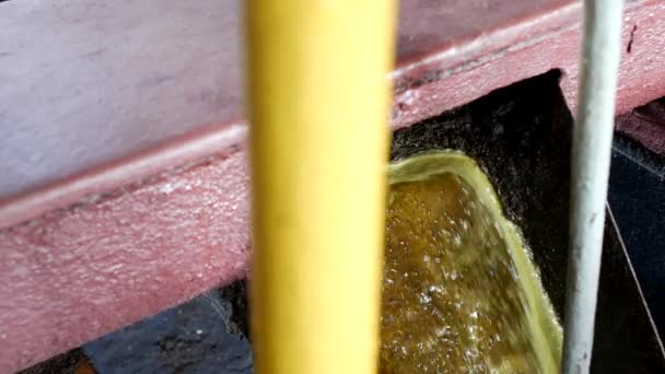 Production of rapeseed oil, output of rapeseed oil from the press to the storage tank, close-up. rape oil — Stock Video