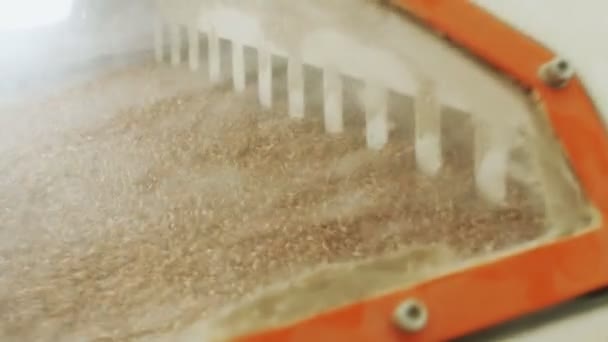 Ziarna zbóż są czyszczenia i przesiewanie przez wibracje, nowoczesne zautomatyzowane młyny — Wideo stockowe