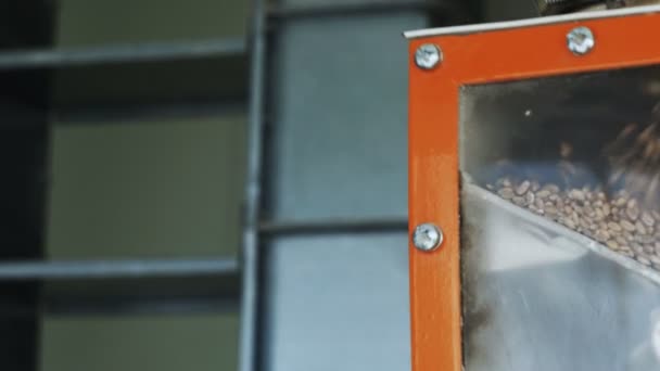 コムギ子実のクリーニングと近代的な自動化された工場振動ふるい — ストック動画
