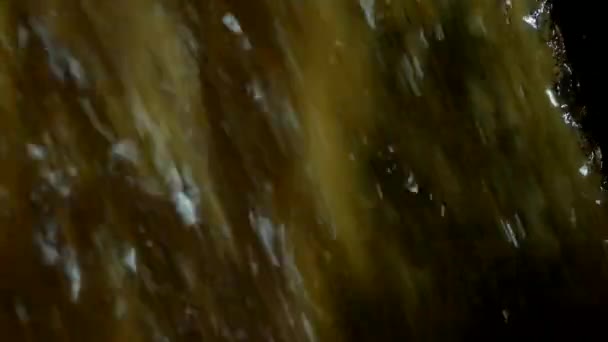 Productie van colza-olie, uitvoer van colza-olie uit de pers naar de voorraadtank, close-up. verkrachting olie — Stockvideo