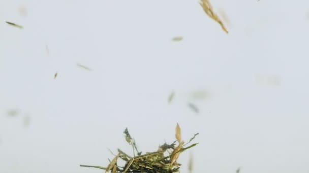 Fraktionen fliegen in der Luft vom Wind, überlagern sich mit Bewegung durch anziehende Kraft — Stockvideo