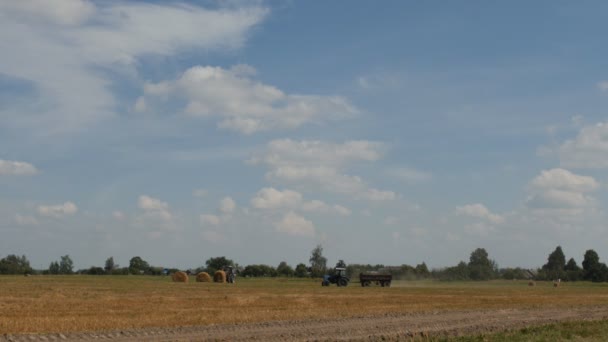 Agricultura Colheita Campo Fazenda Perto Rancho Trator Recolhe Escolhe Fardos — Vídeo de Stock