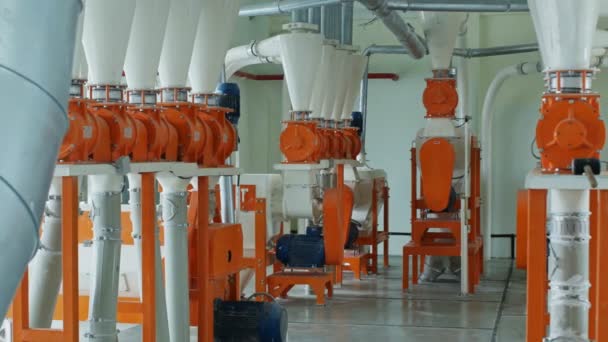 Modern automated gristmill for flour manufacturing — Stock Video