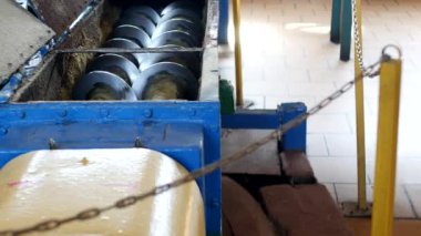 Kolza yağı, kolza tohumu yağlı tohum işleme, kolza tohumu yağlı tohumlar için tuşlarına basın, soğuk tedarik üretim kolza